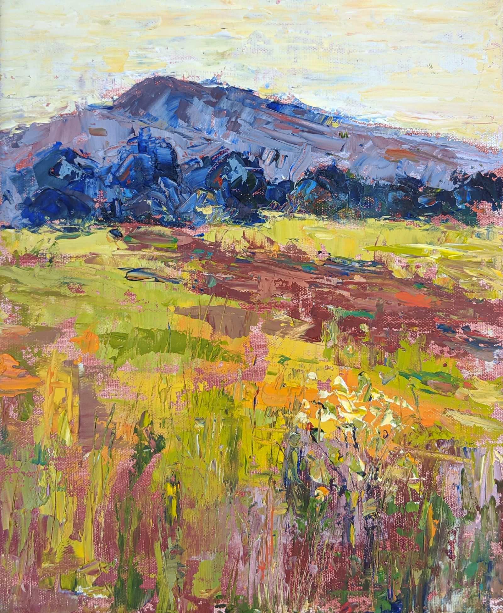 This is a Plein Air oil painting using imagined color of a meadow of summer grasses and flowers in front of a near distant mountain.