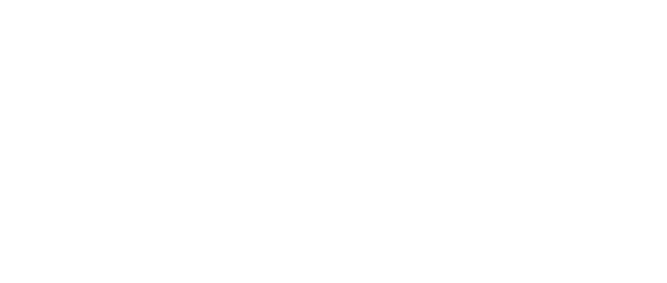 Leadville Coldwater logo
