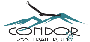 Condor 25K