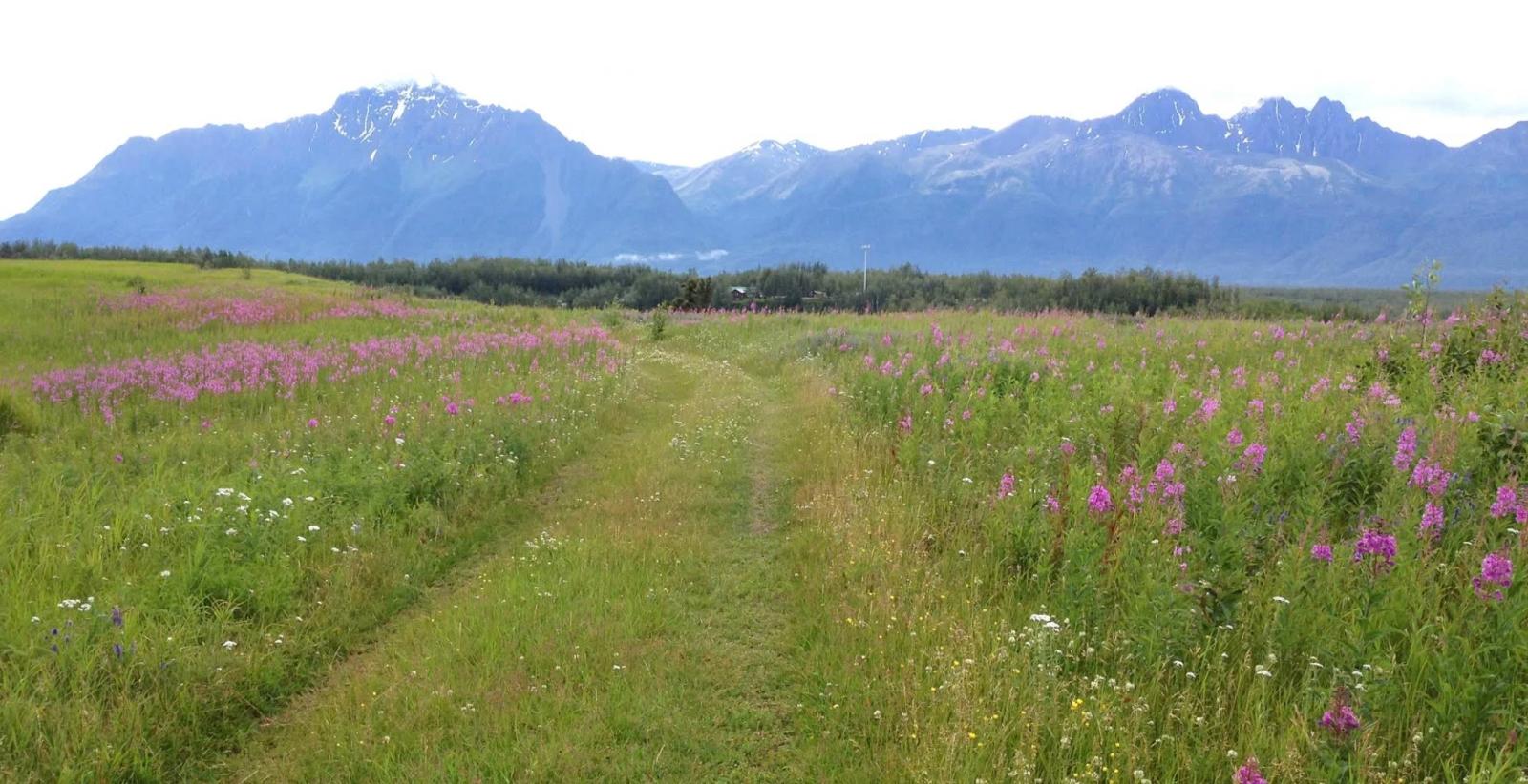 AKtive's The Lakes Trail Fest