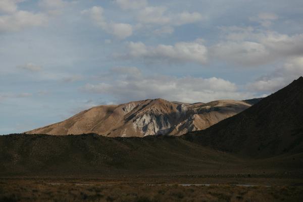The Mammoth 200
