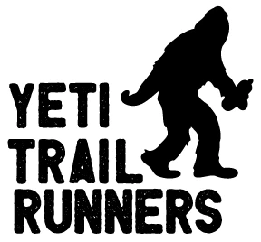 Washington Yeti logo