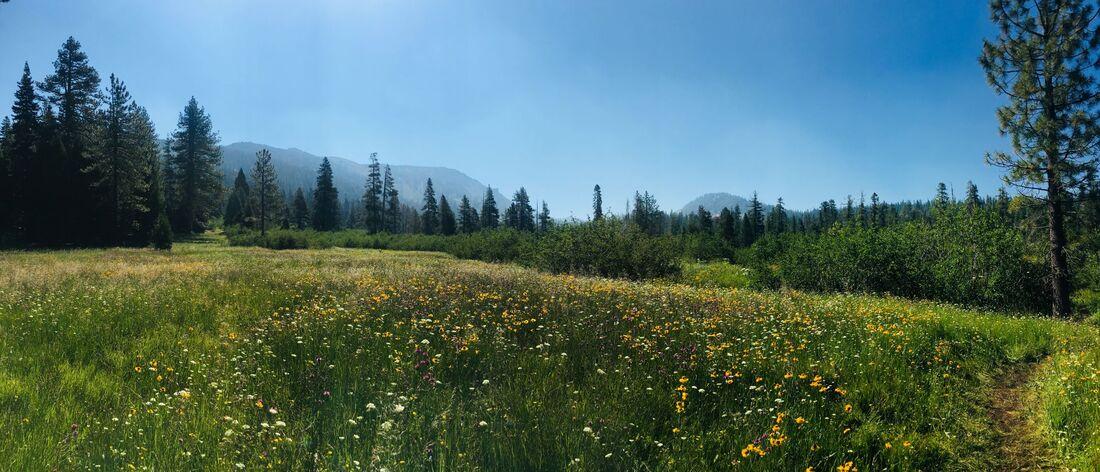 Headwaters Trail Runs 10K