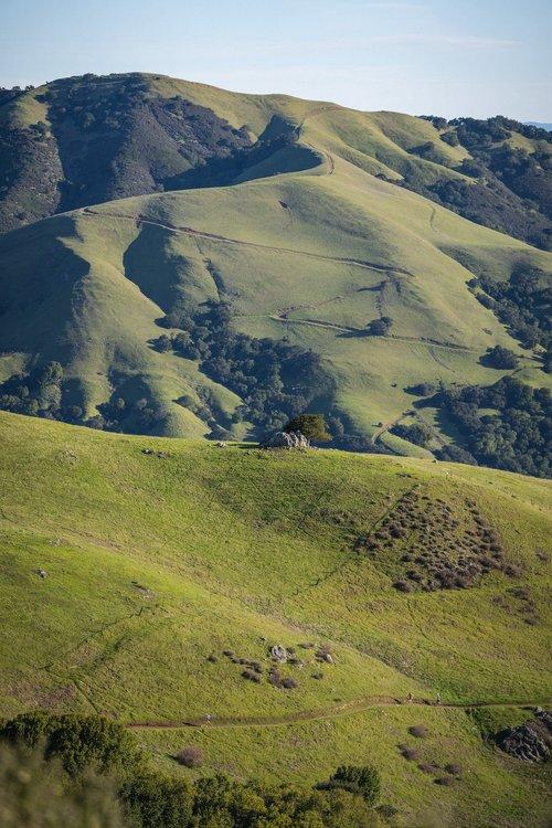 The Big Alta