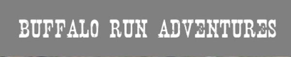 Harriman Trail Run logo