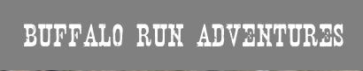 Harriman Trail Run logo