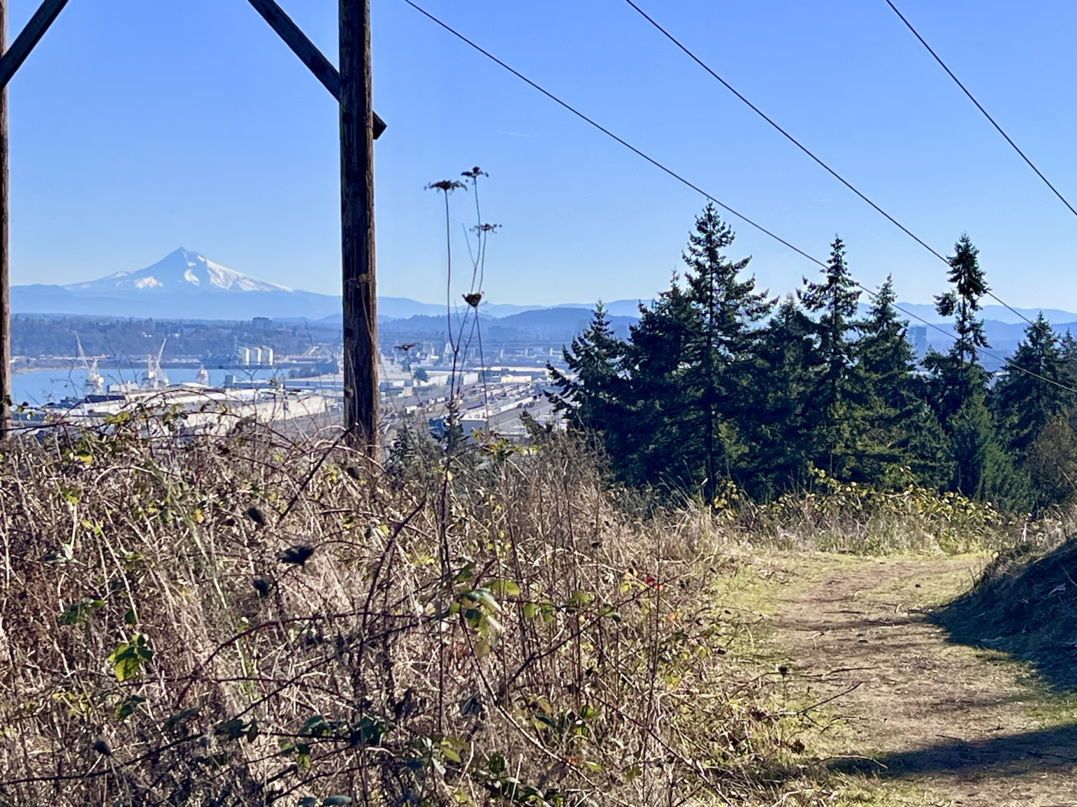 Firelane Trail Trial