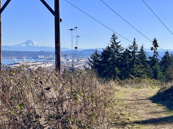 Firelane Trail Trial