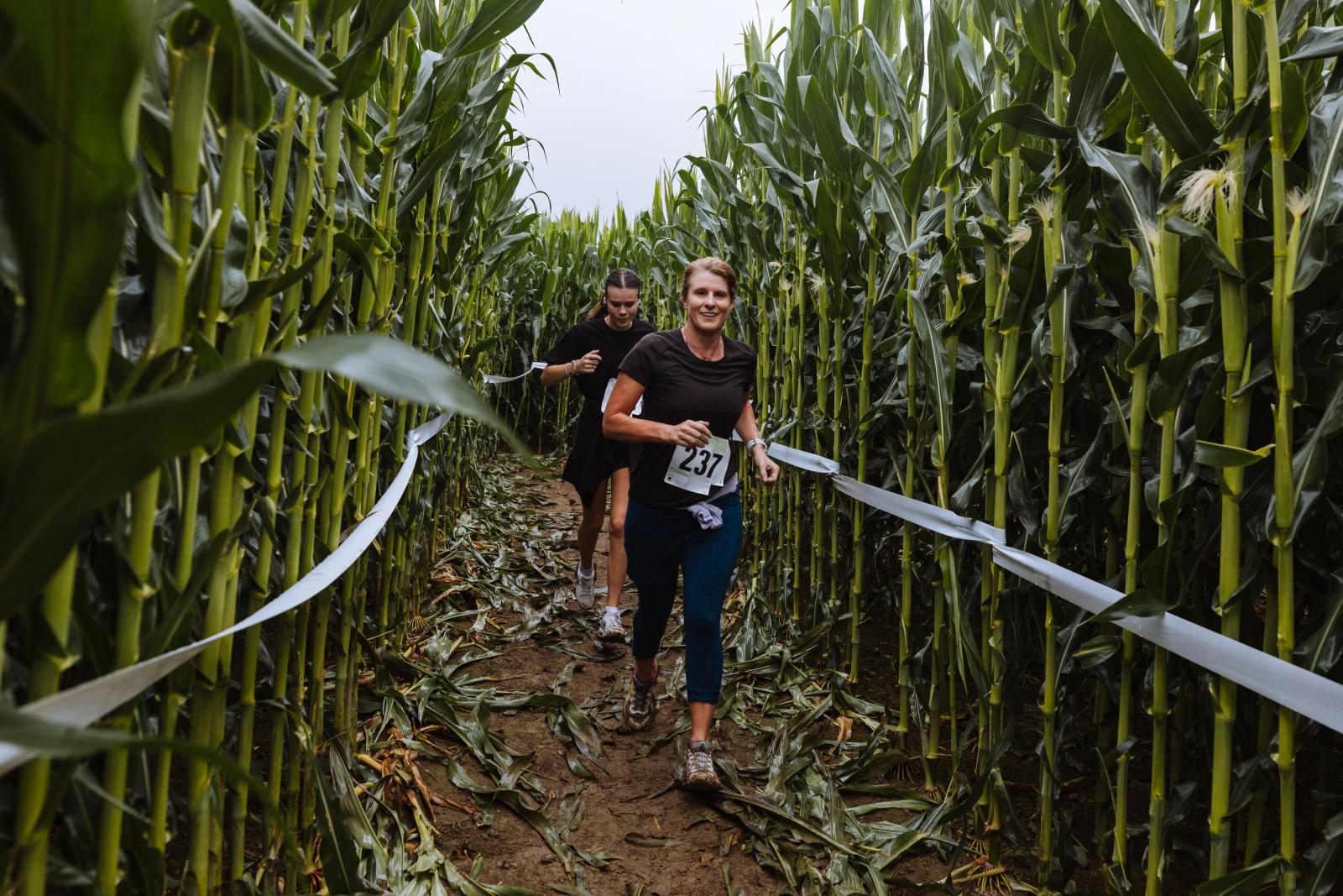 Corn Maze Craze