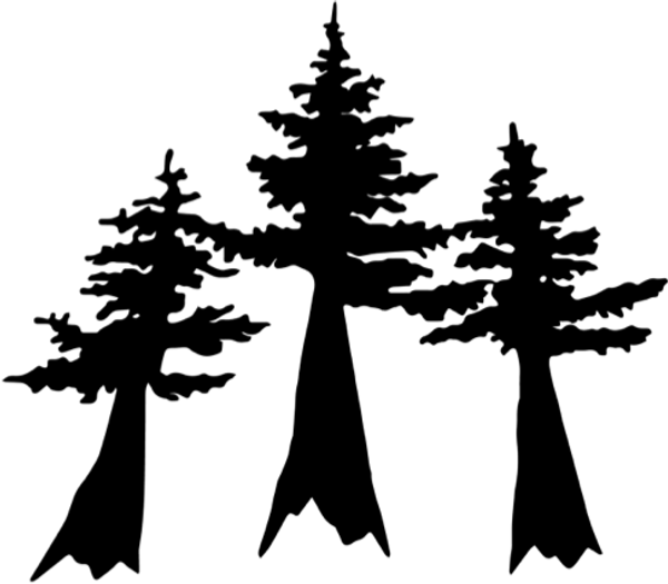 Cascade Crest 100M logo