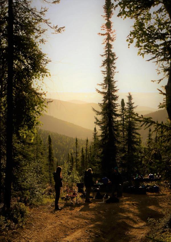 Drew Harrington Trails Running Series