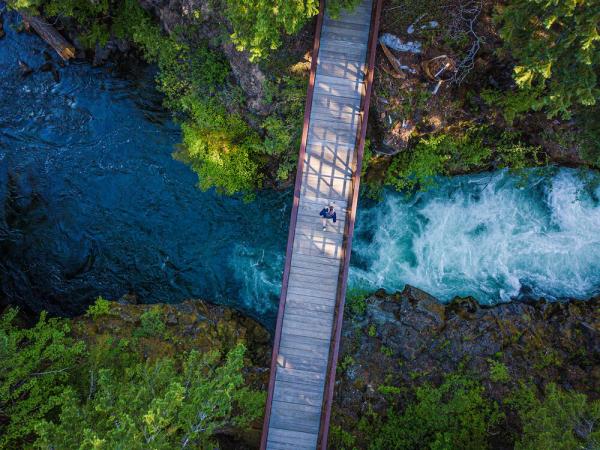Rogue Gorge