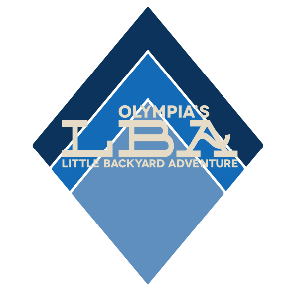 Little Backyard Adventure logo