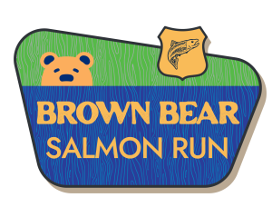 Brown Bear Salmon Run