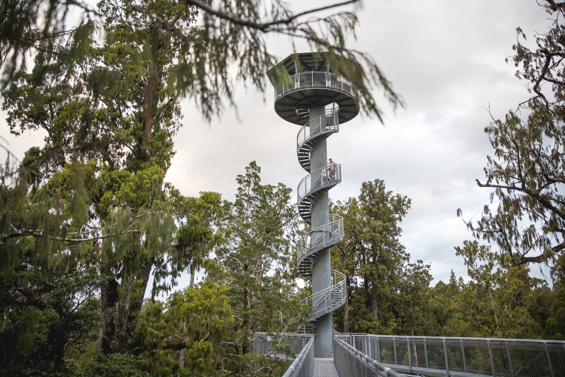 Treetop Walk Hokitika