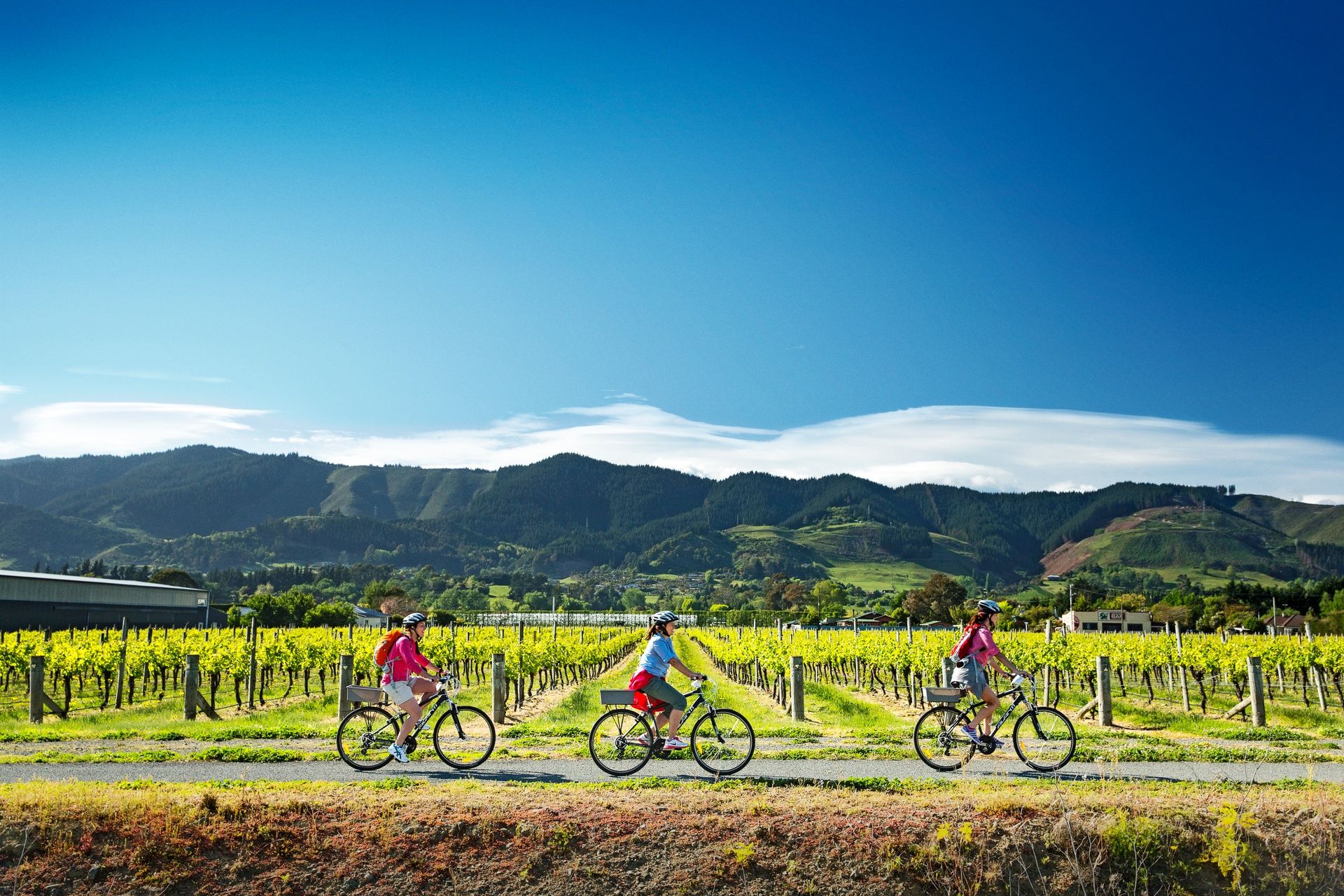 Nelson/Marlborough Winery Cycle Touring