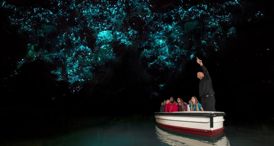 Waitomo Glow Worm Caves