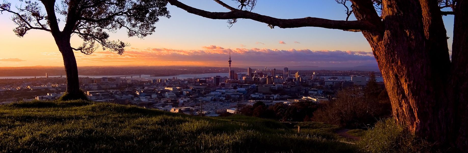 Auckland From Mt Eden