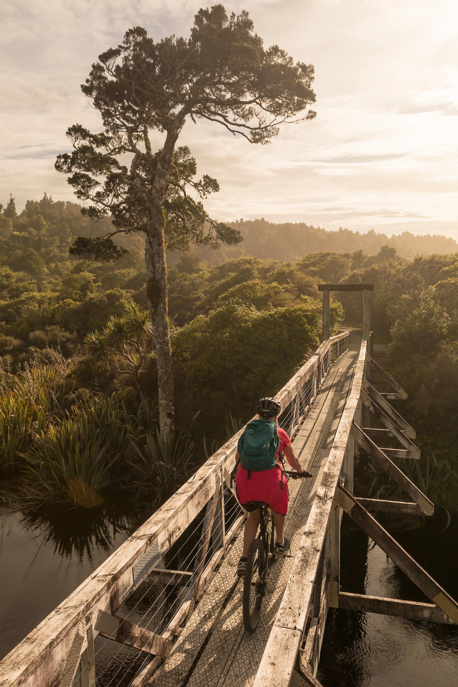 West Coast Wilderness Trail #2