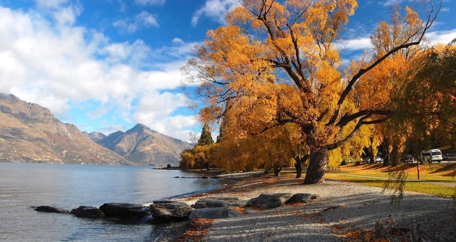 Autumn Willow Queenstown