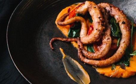 Squid Dish