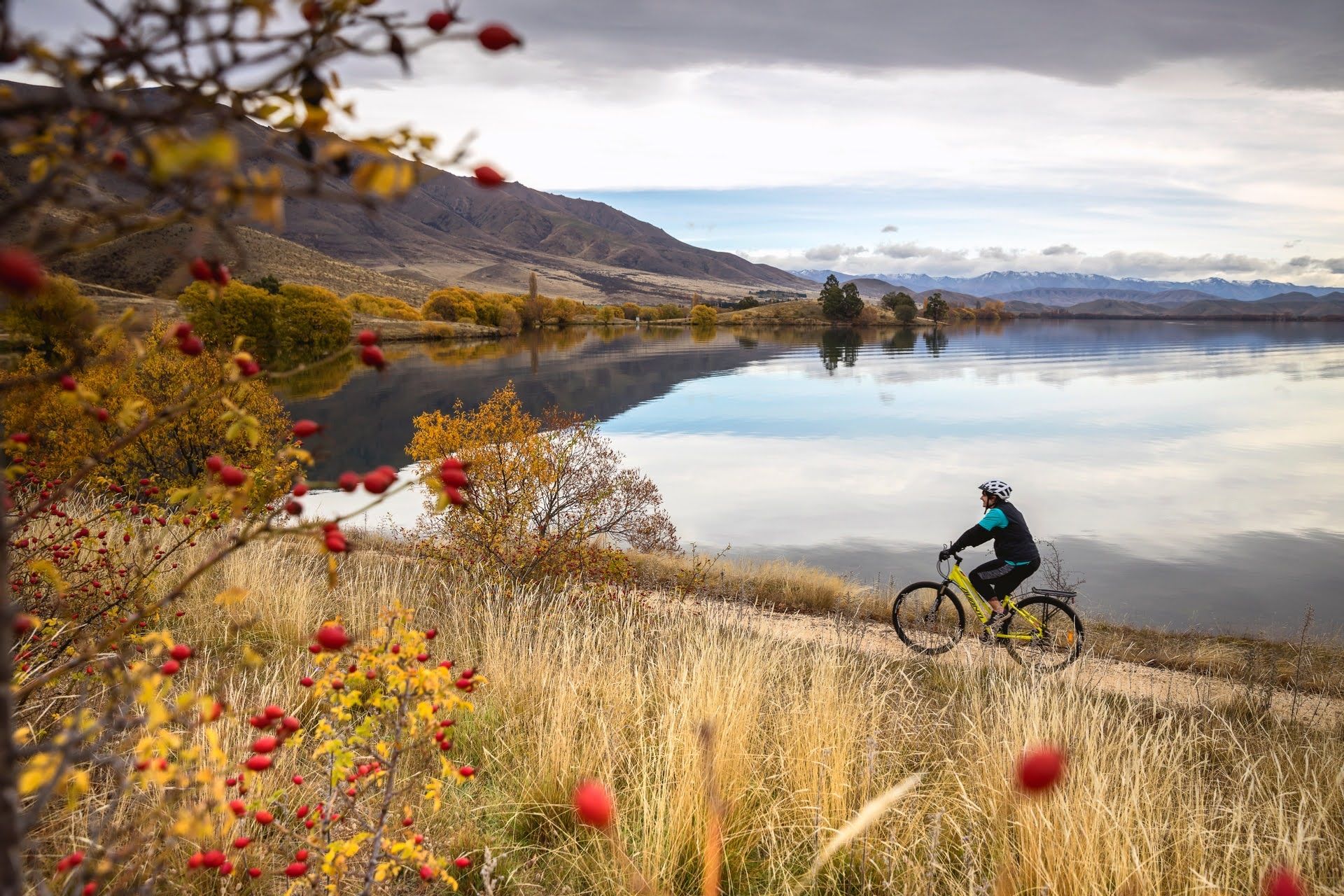 Lake Benmore Alps2Ocean Cycling, near Omarama
