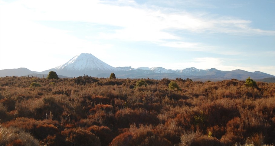 Snow capped Tongariro (Ngauruhoe)