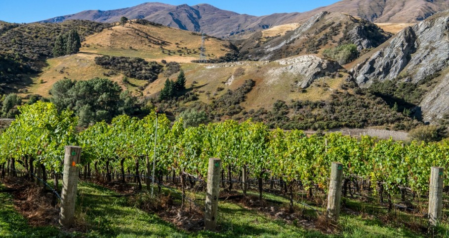 Gibbston Valley Wineries