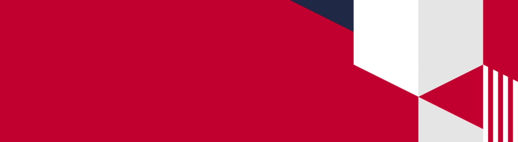 Red Geographic Background Pattern
