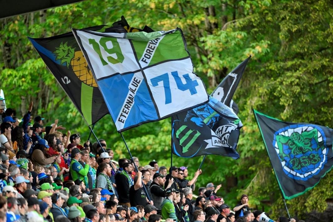 fans in the stands waving flags