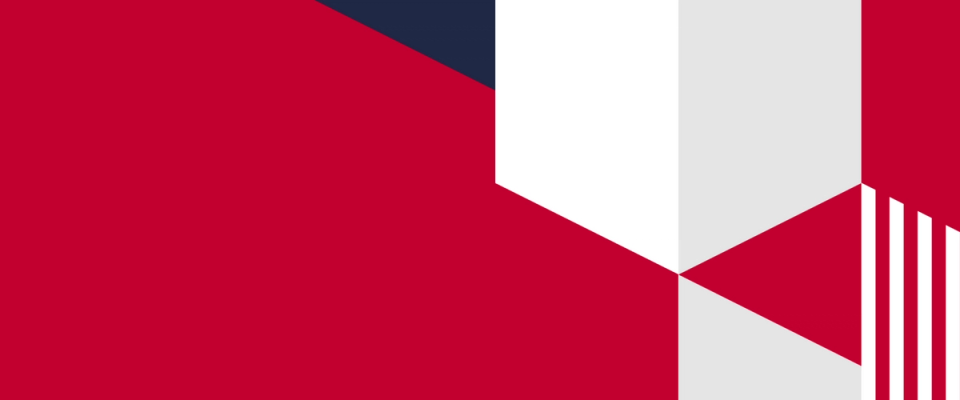 Red Geographic Background Pattern