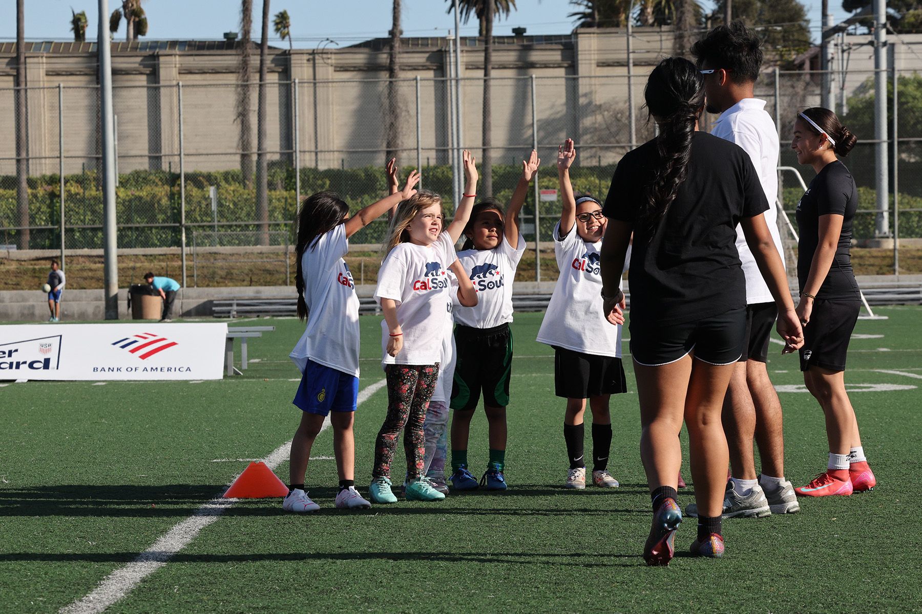 Flagship Initiatives