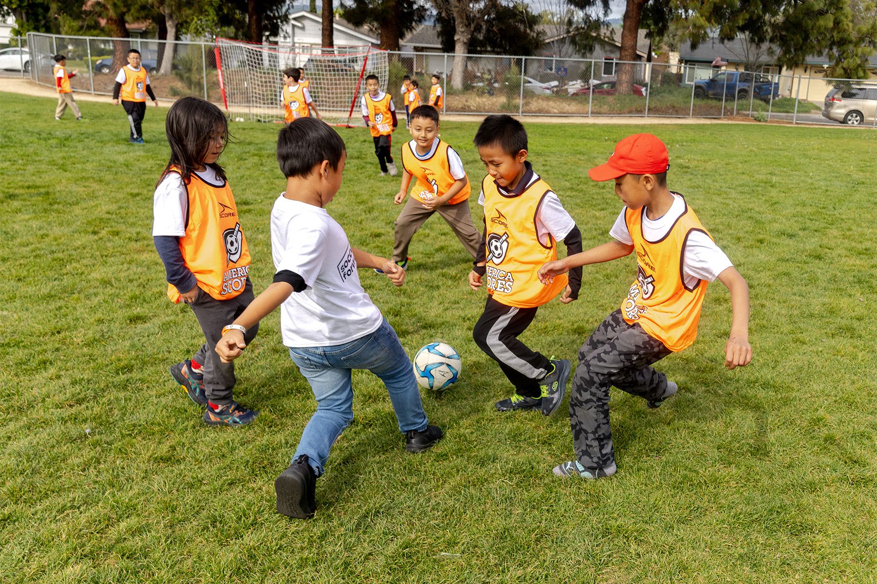 Programs