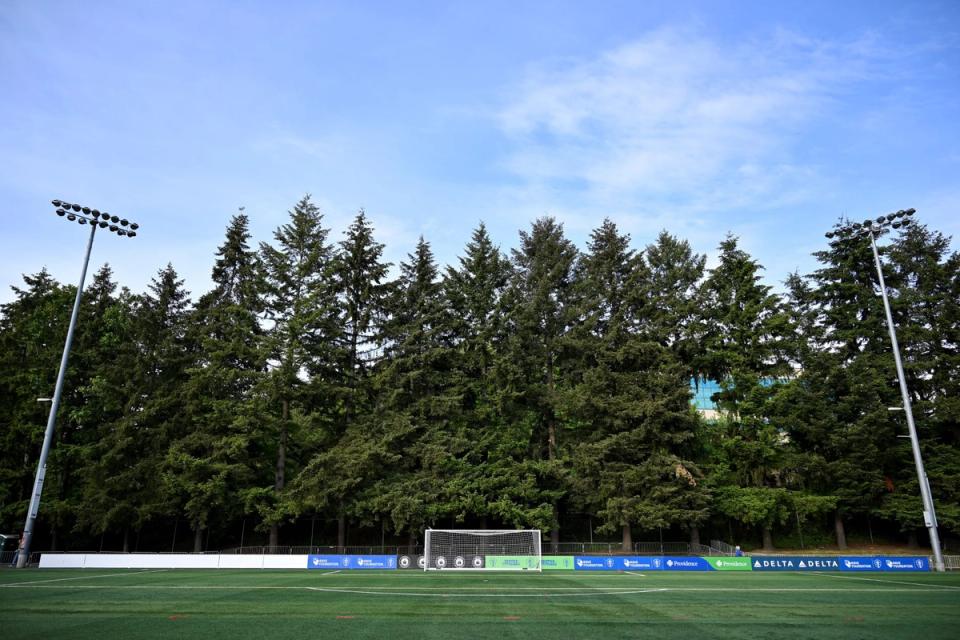 soccer field with a net and a large pine tree forest behind it