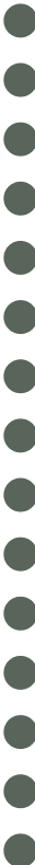 dotted line for homepage