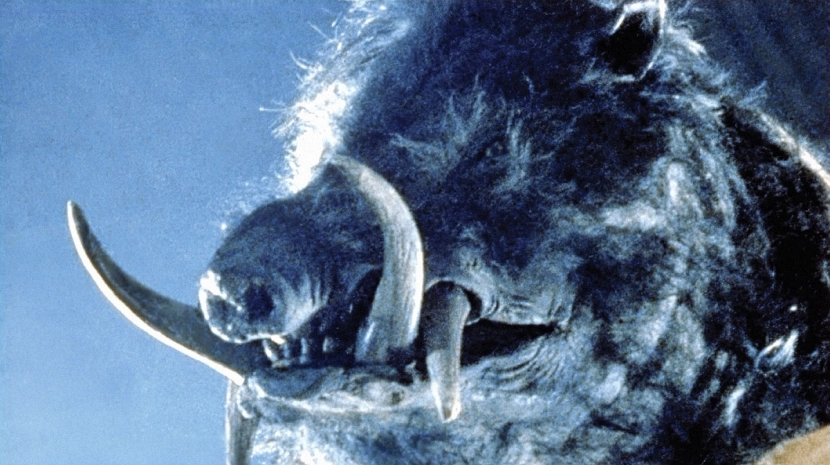 A terrifying, close-up shot of a giant, mutated wild boar with massive, curved tusks protruding from its snout. The image is grainy and high-contrast, highlighting the coarse hair and menacing features of the creature.