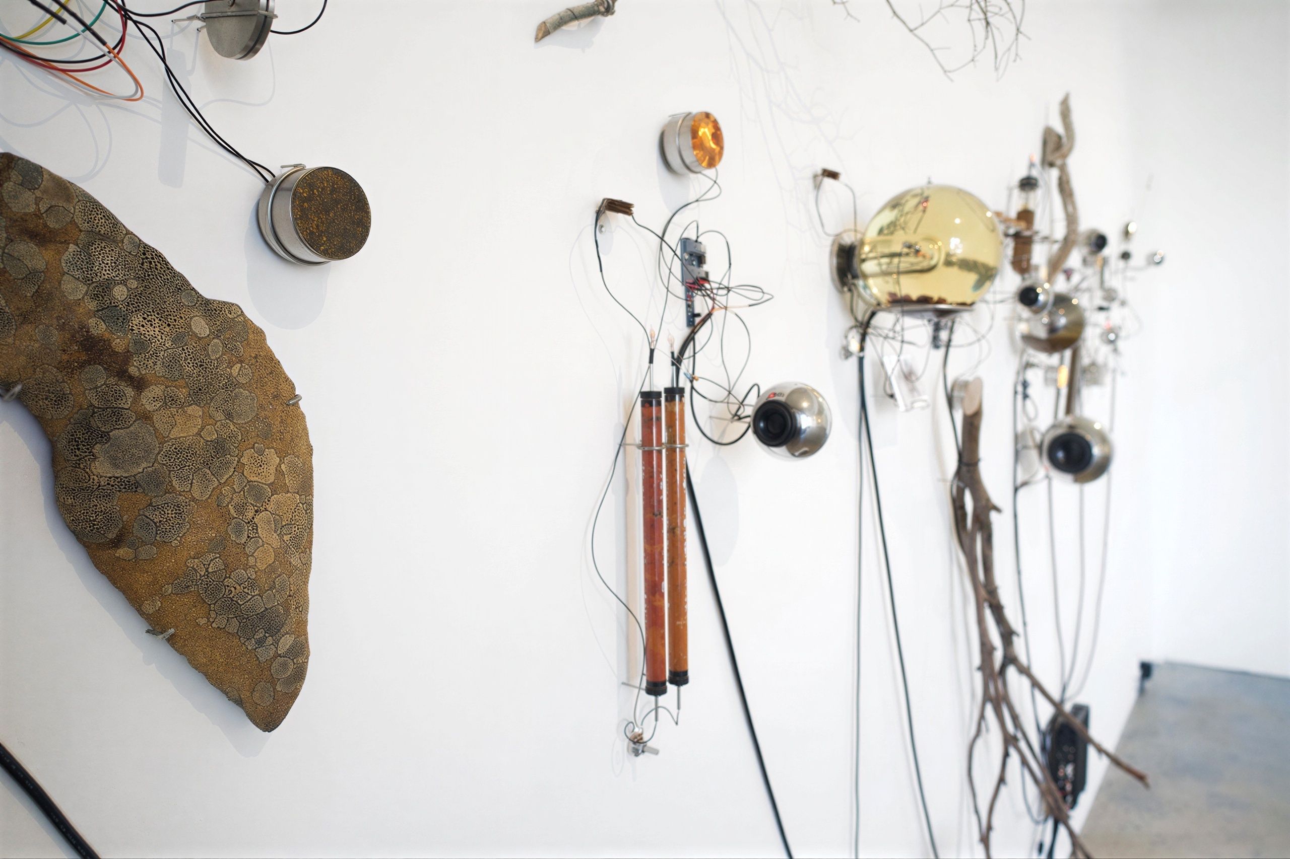 An intricate wall-mounted installation combining natural organic elements like branches and lichen-covered stones with industrial components like wires, metal spheres, and glass tubes. The arrangement creates a complex, skeletal network that bridges the gap between biological forms and mechanical technology.