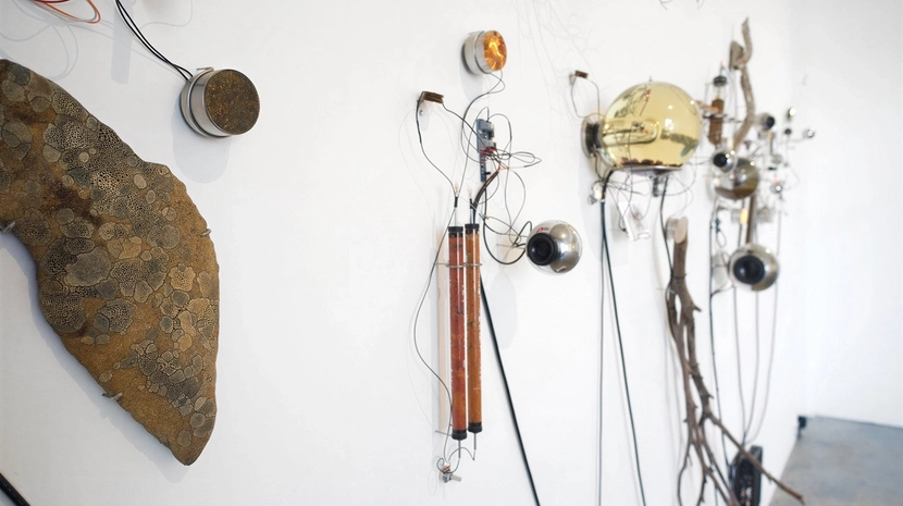 An intricate wall-mounted installation combining natural organic elements like branches and lichen-covered stones with industrial components like wires, metal spheres, and glass tubes. The arrangement creates a complex, skeletal network that bridges the gap between biological forms and mechanical technology.