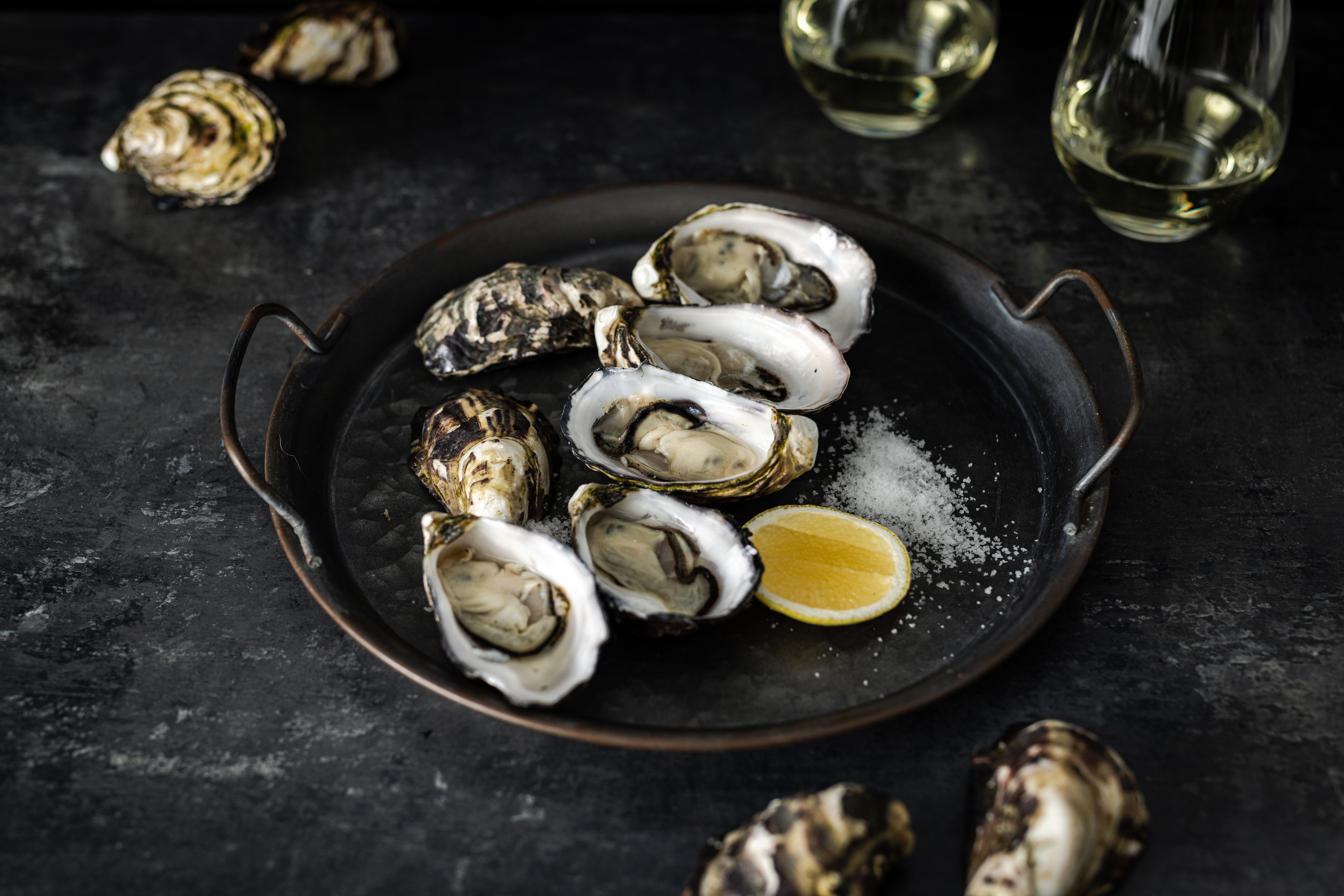 Bruny Island Oysters Tasmania