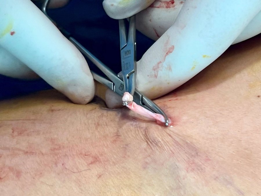 IMG_3720