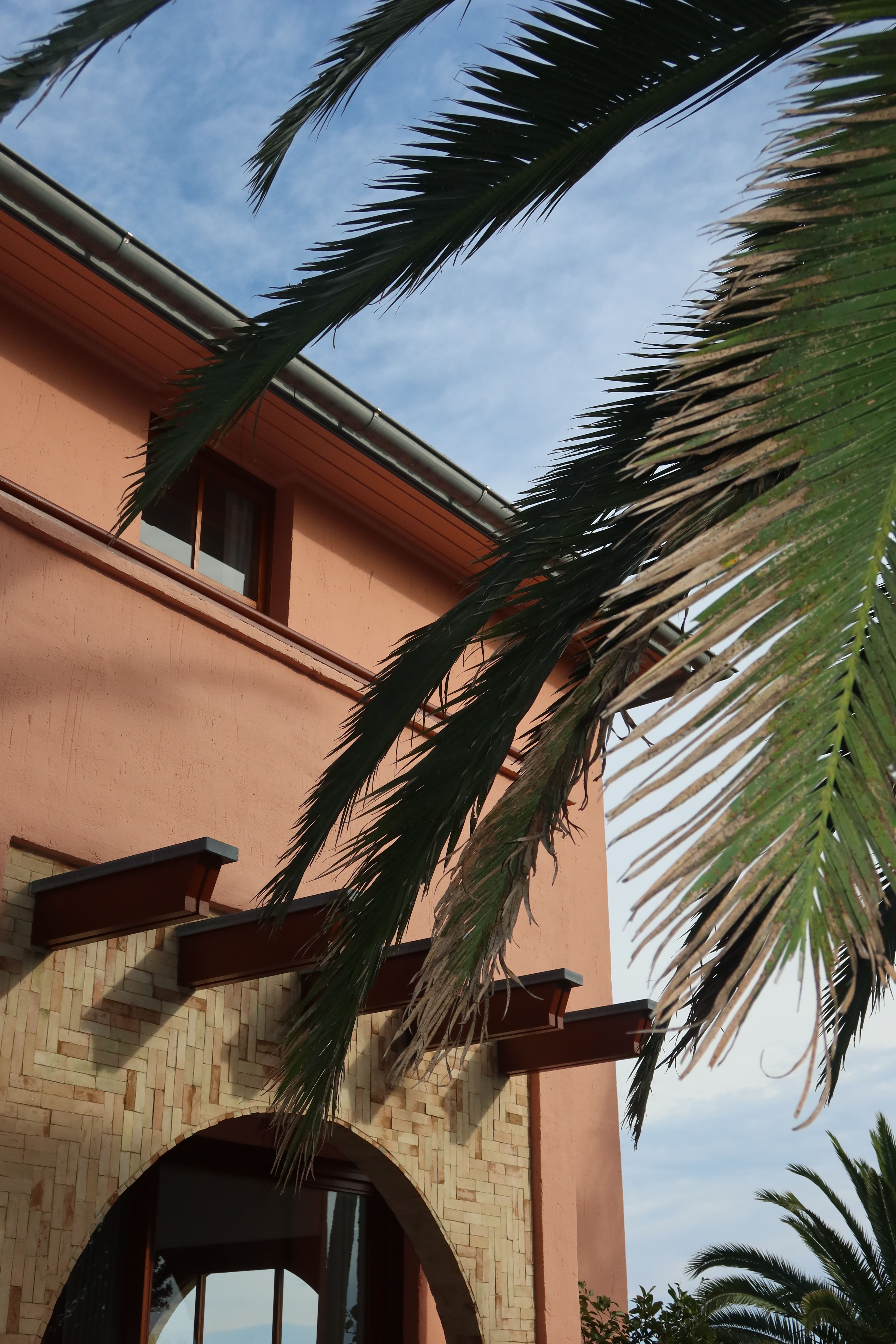 Your Chic Girl Guide to Summer Dressing