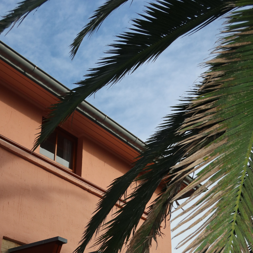 Your Chic Girl Guide to Summer Dressing