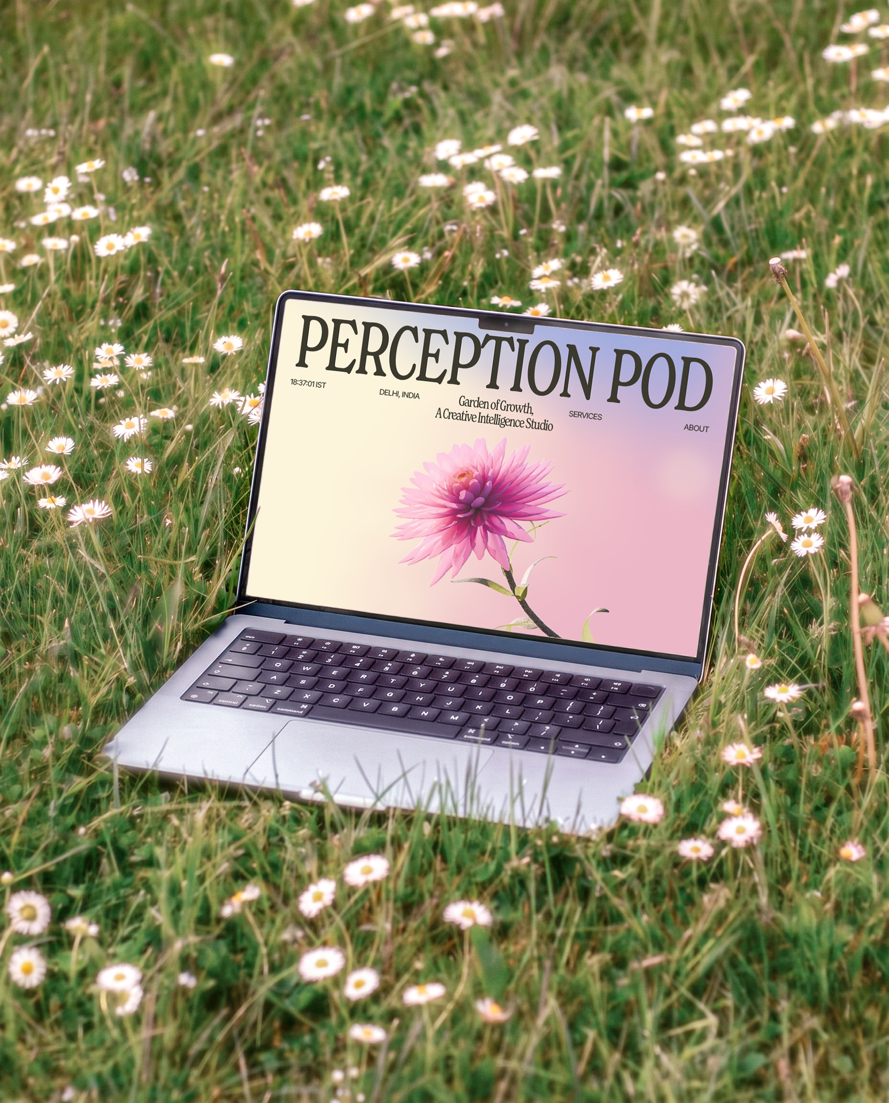 Perception Pod cover