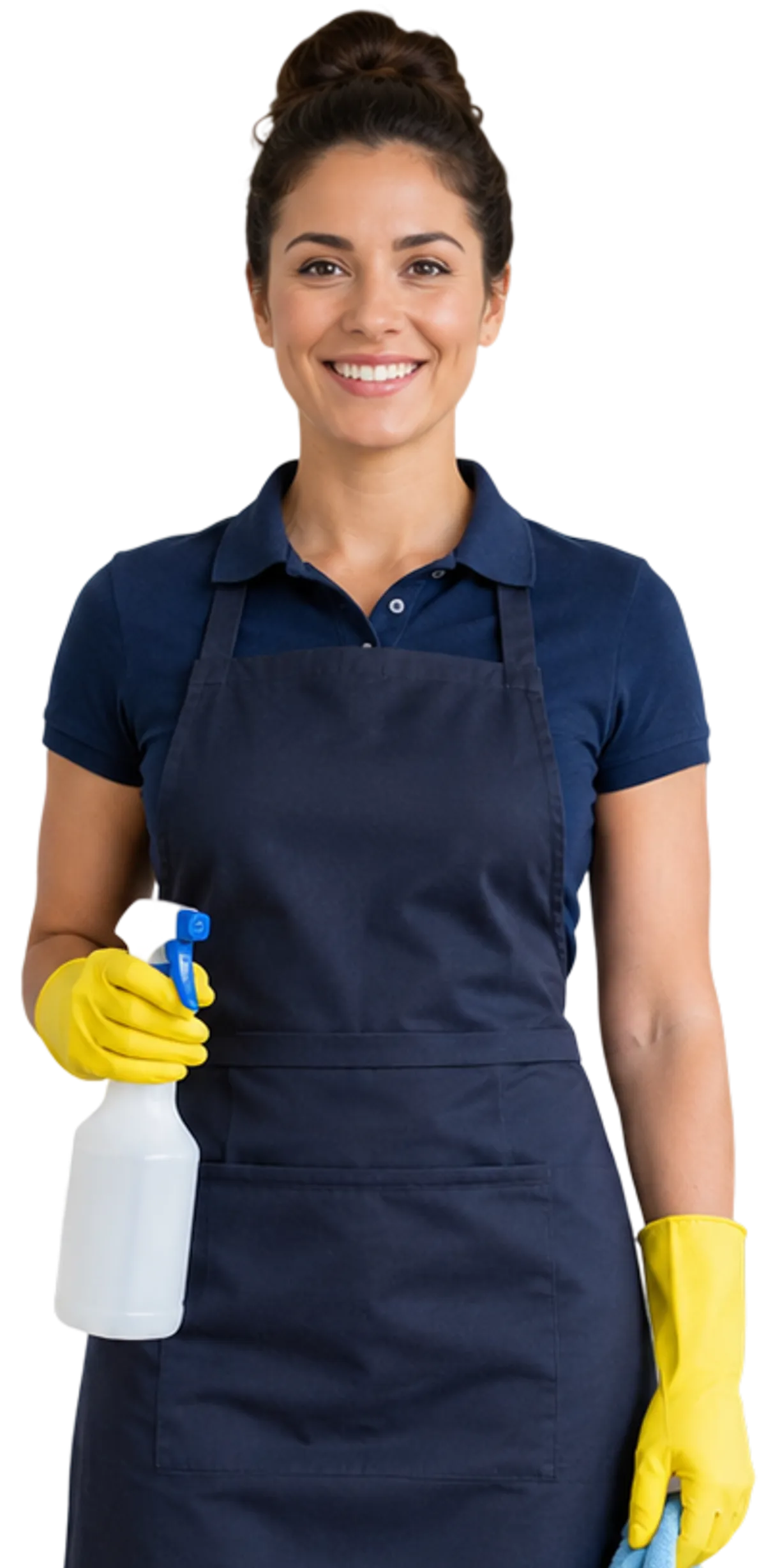 Cleaning Business Software