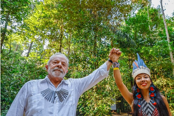 Queda na destruição de florestas tropicais em 2025 é impulsionada por ações na América Latina