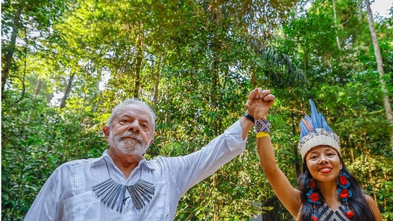Queda na destruição de florestas tropicais em 2025 é impulsionada por ações na América Latina