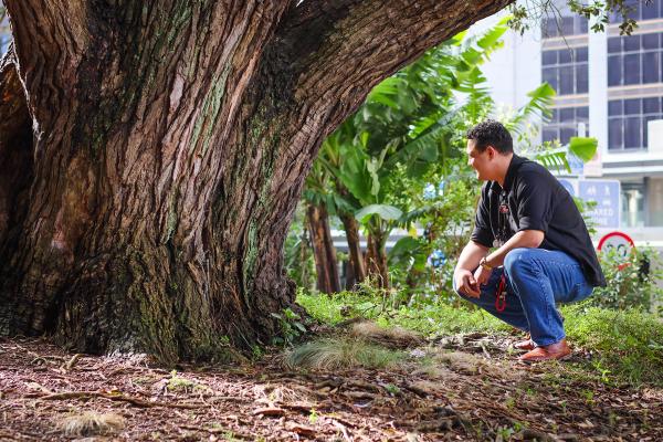 a man is squatting under a tree in a park .