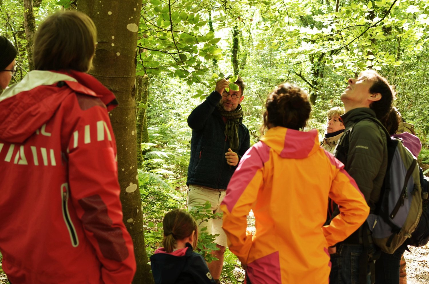Rewilding projects in France