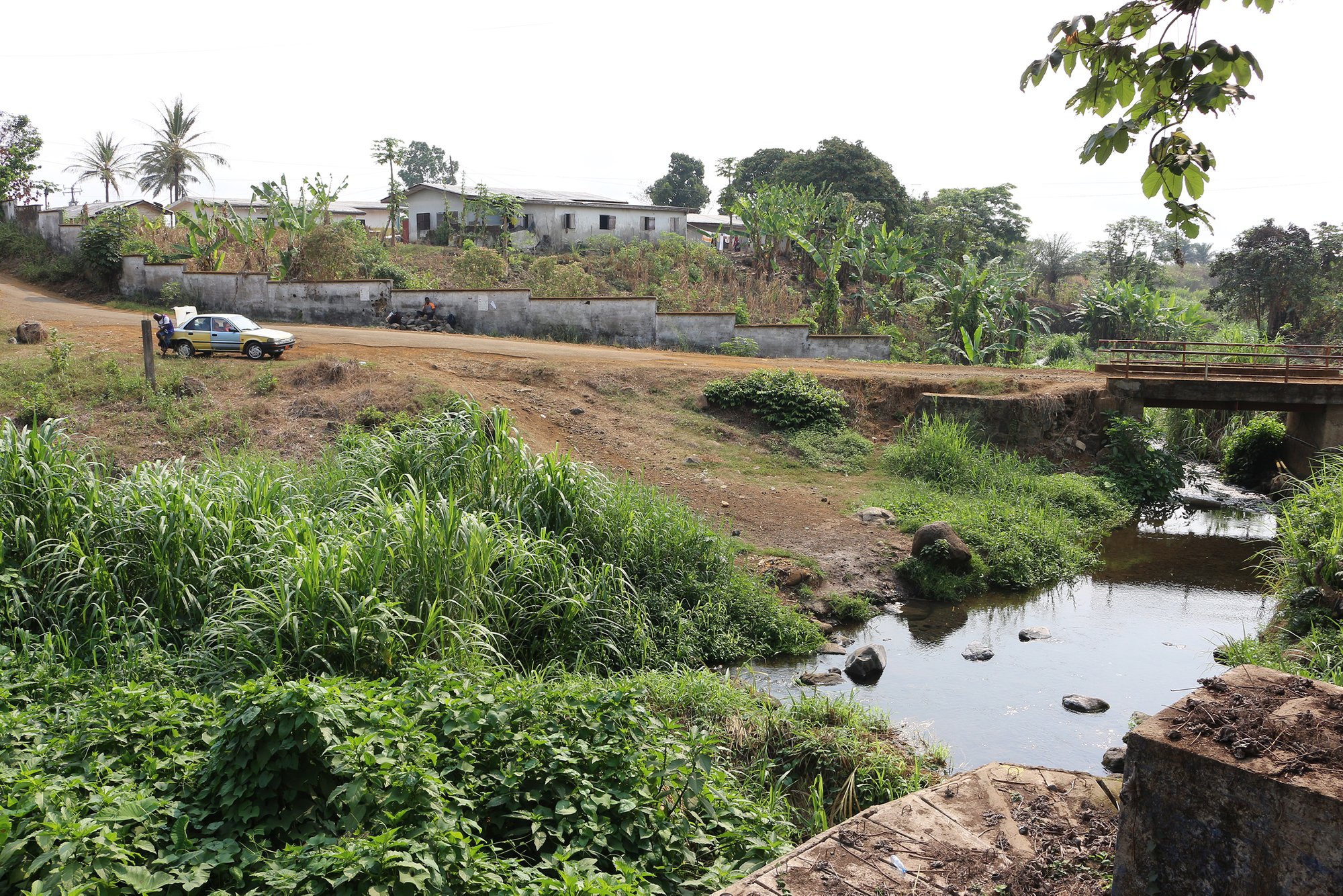 Revive waterways and biodiversity in Cameroon, Africa.