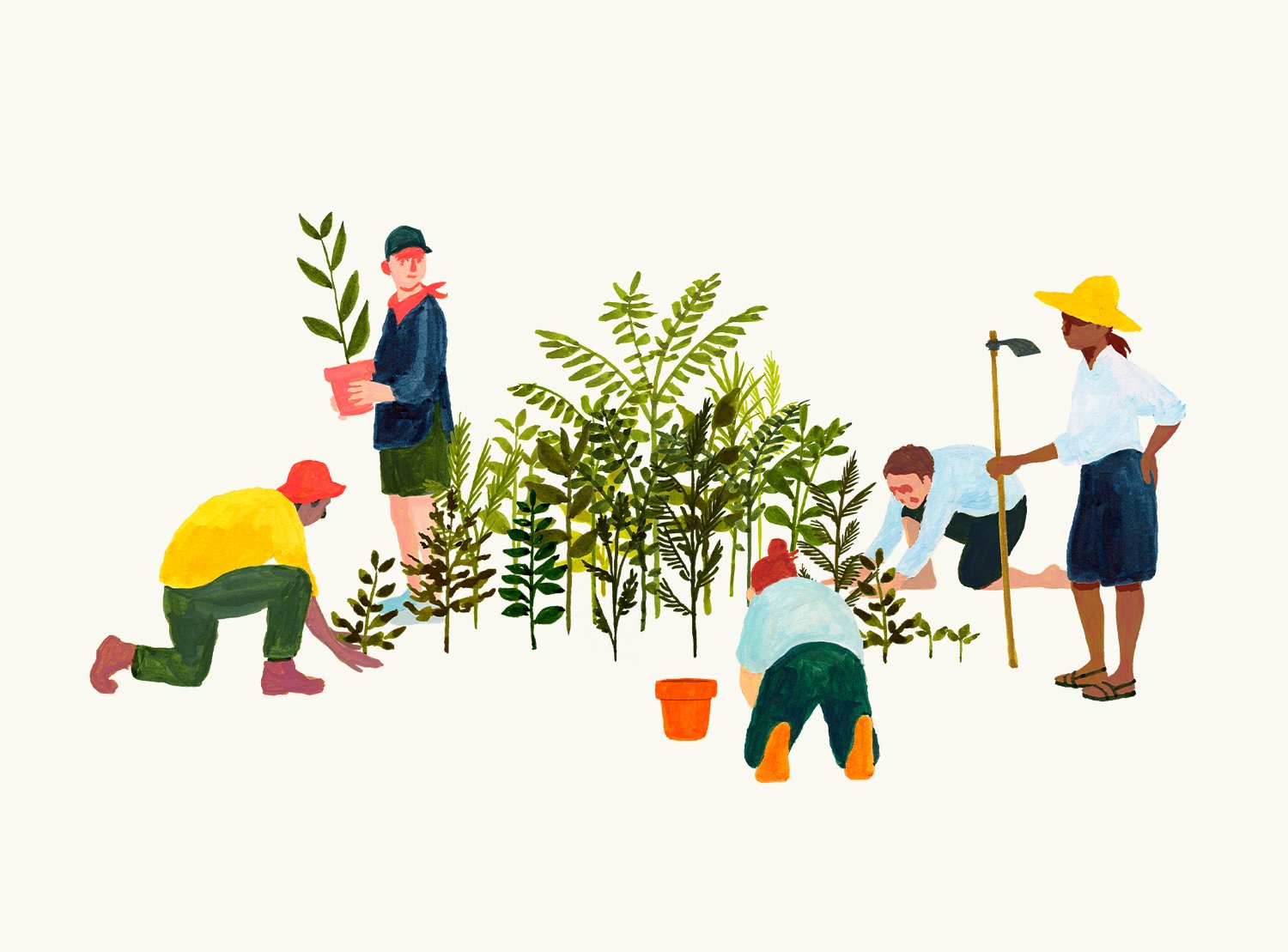 build biodiversity with SUGi